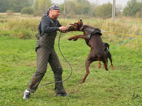 Training in Prague - defence - 10/2006